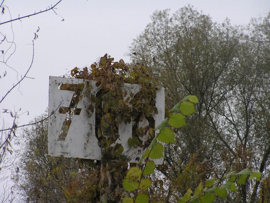 Żarłoczna natura na 766 km Wisły