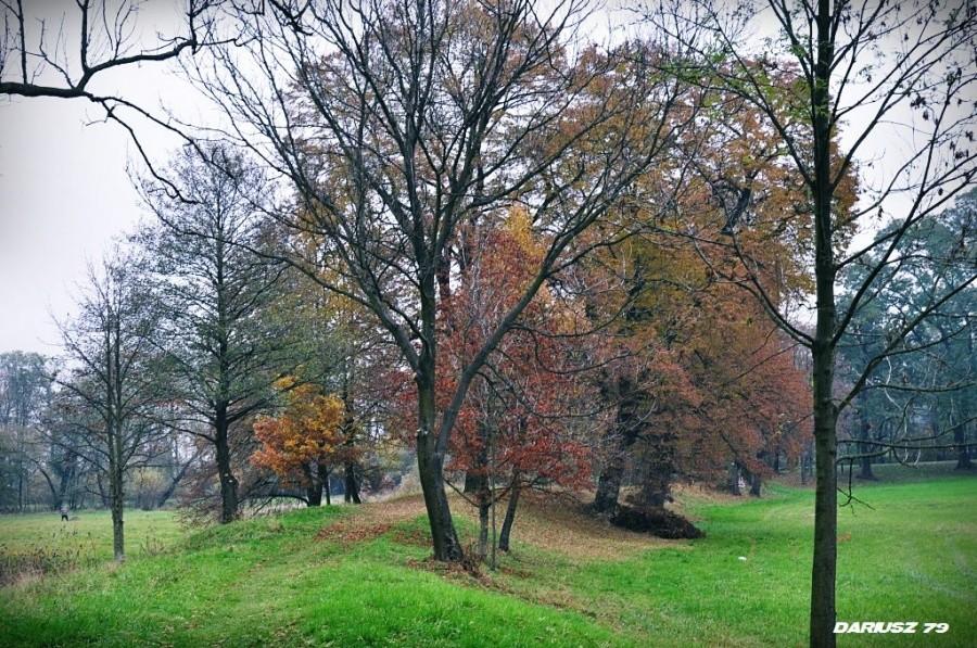 Dębno - Wałem dokoła zamku