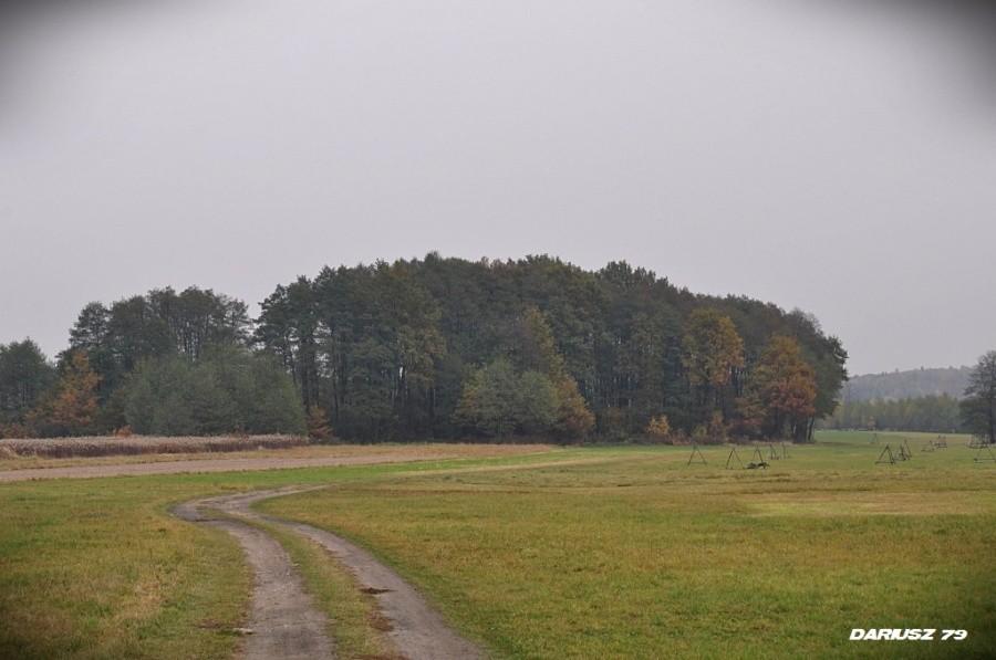 Dębno Okolice