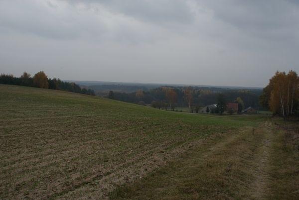 prawie góry