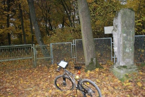 brama Parku zabytkowego w Grotowicach - niestety nie dano mi tam być.