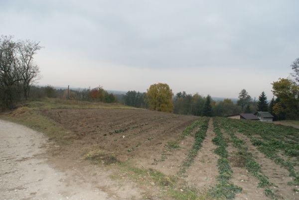 pola, a za polami DolinaPilicy