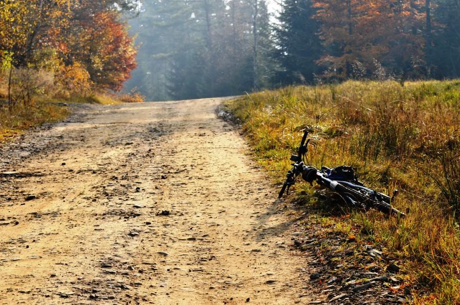 Droga ze wsi Stawisza do Hańczowej