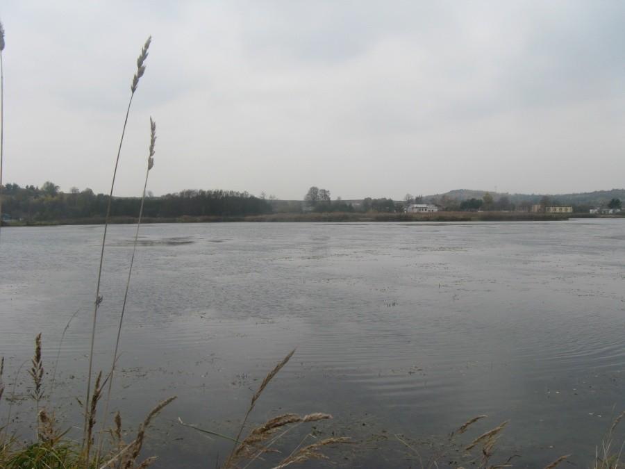 Siamoszyce