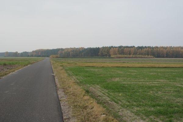 tu miała być droga gruntowa, a jest nowiutki asfalt - ale niespodzianka :)