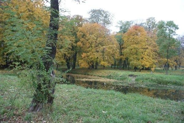 park w Moszczenicy