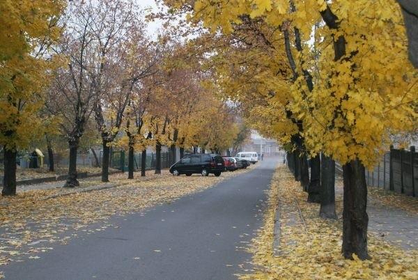 ul. Krzyżowa, zawsze nią jadę, bliziutko domu :)