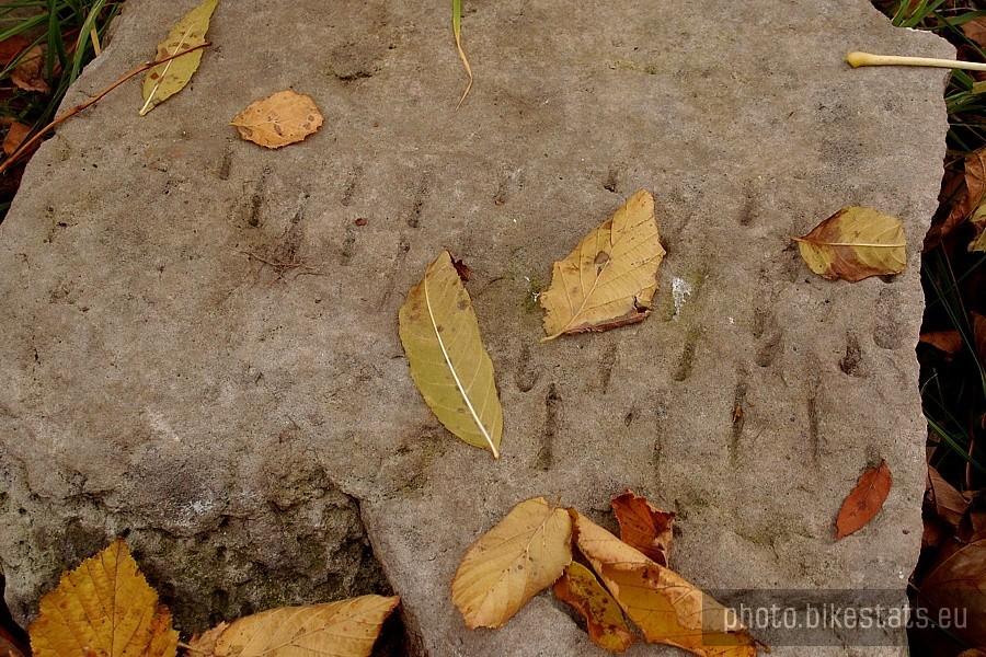 Fragment macewy na Starym Cmentarzu Żydowskim w Tczewie.