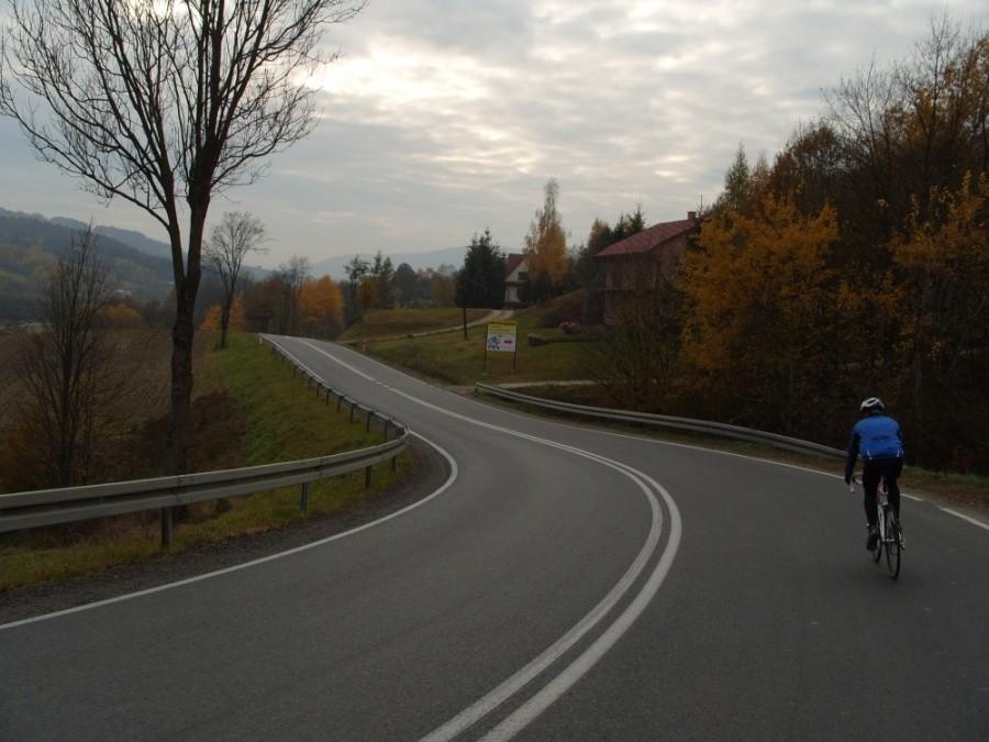 Szymabrk