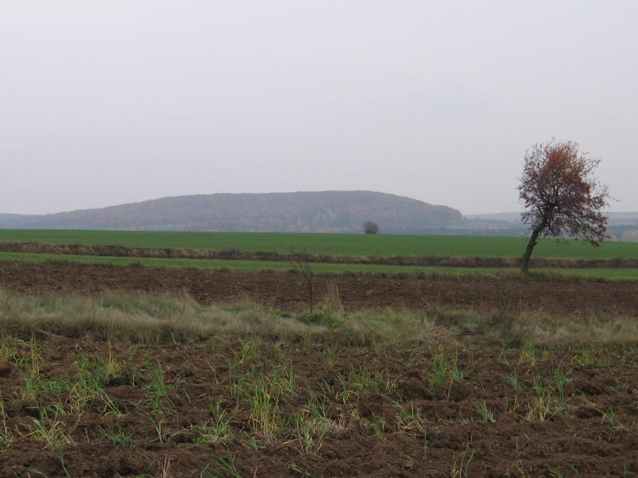 Widok na Dębową Górę