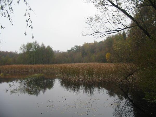 jesień nad stawem Gierka