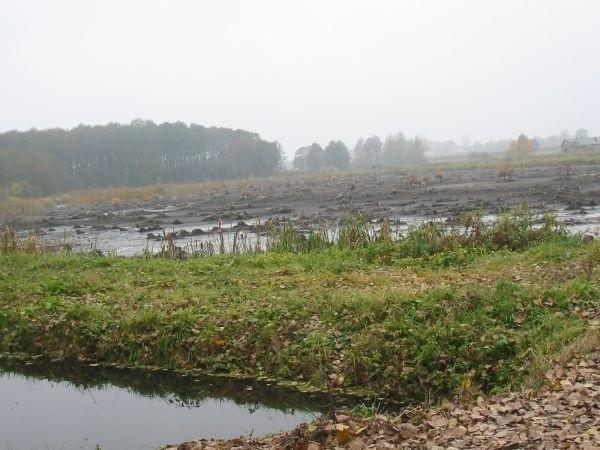 okolice Krzemienicy i Chociwia przypominają Mazurskie klimaty z racji na liczne stawy, przepusty na Krzemionce.