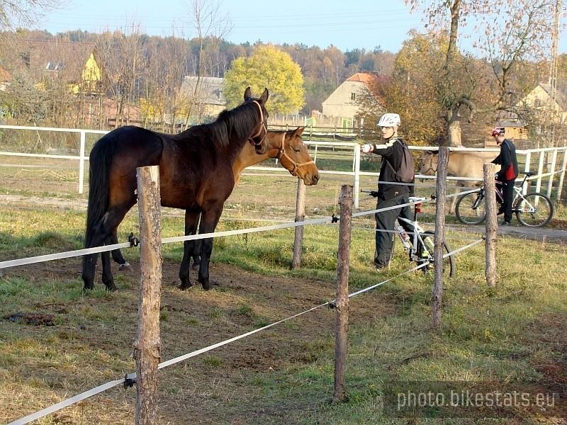 Ranczo Kołata - Grigori nieufny do koni