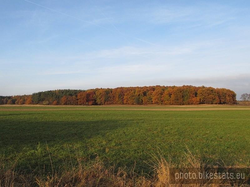 jesienny pejzaż w Dębogórze