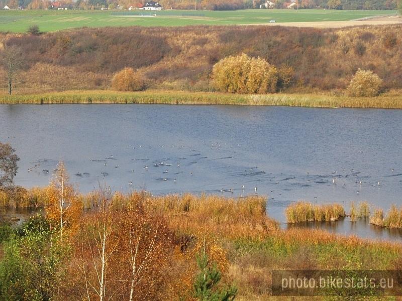 ptaki nad Jeziorem Góra