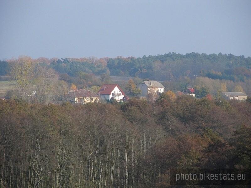 zabudowania w głębi parku