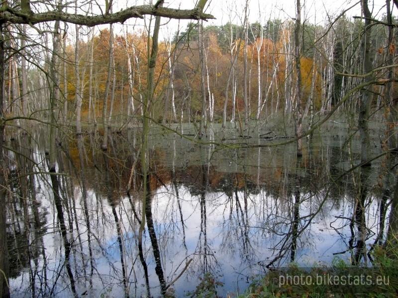 Bagienne tereny niedaleko Kociałkowej Górki
