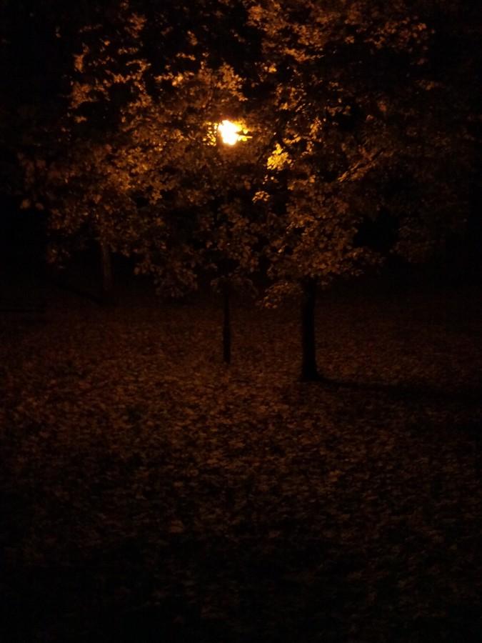 jesień nocą ...