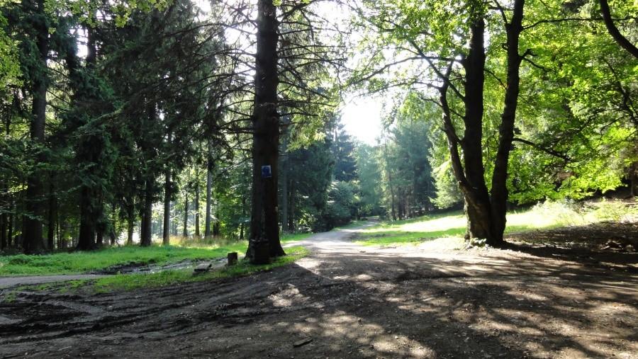góry sowie