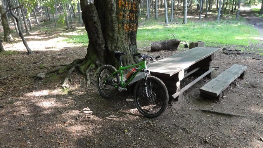 ładny ktm