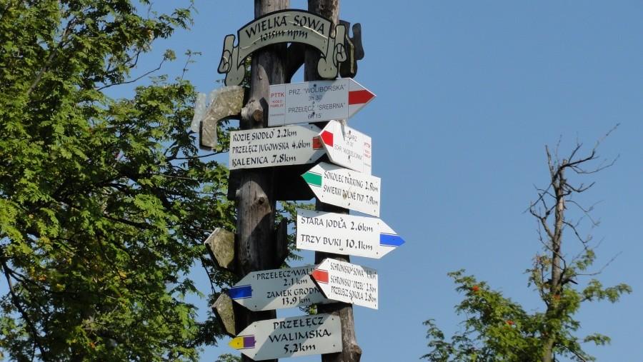wielka sowa na szczycie