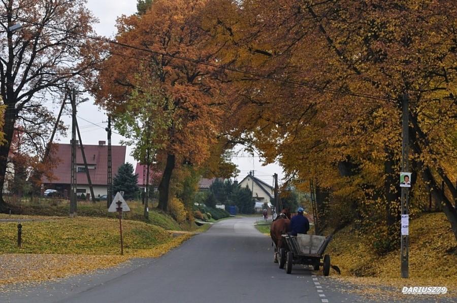 Okolice Dębna