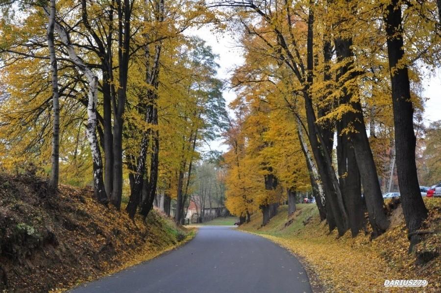 Okolice Dębna