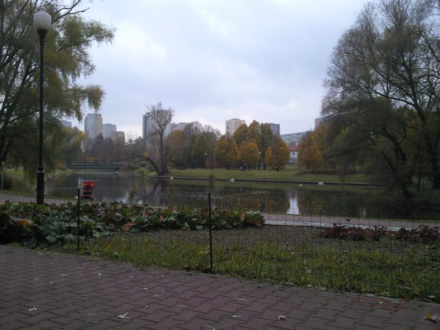 Kępa Potocka