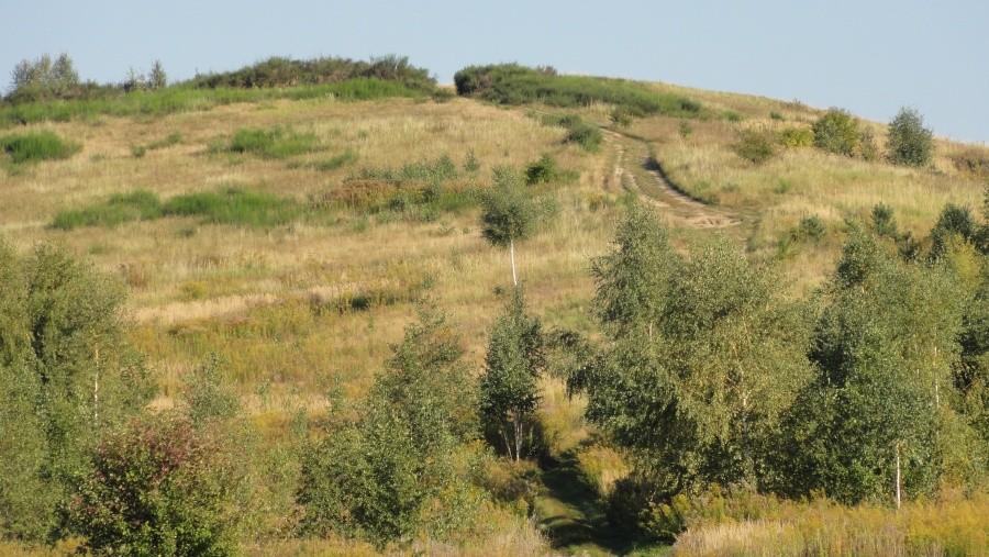 wzgórza trzebnickie