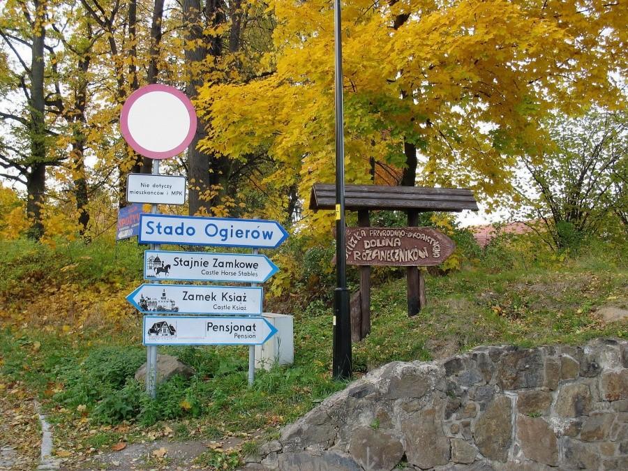 Książ - między zamkiem, a stadniną