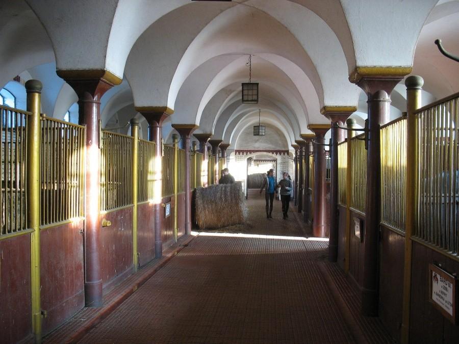 Stadnina Książ - stajnie