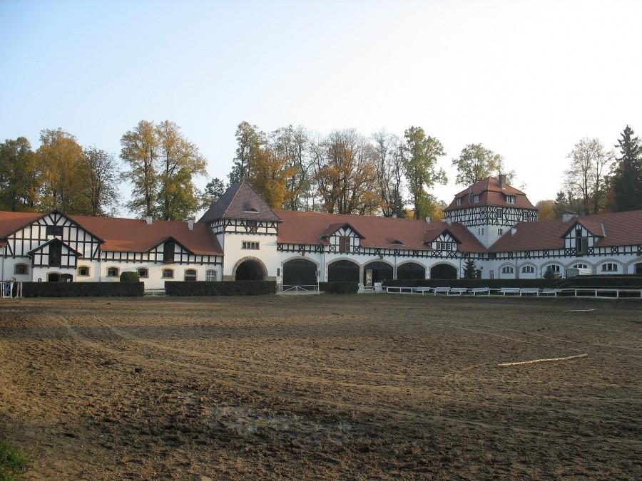 Stadnina Książ - maneż