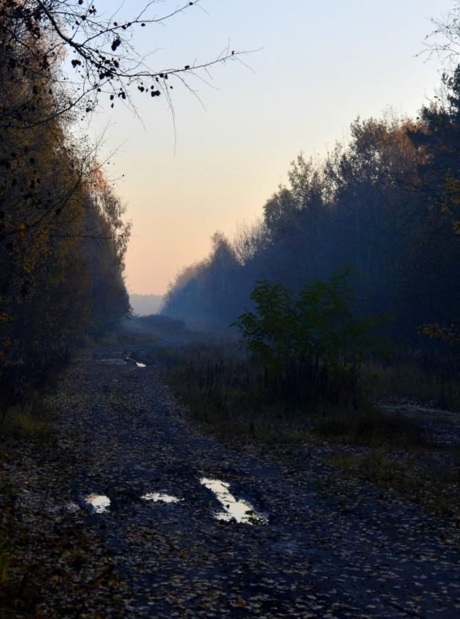 Budzi się dzień