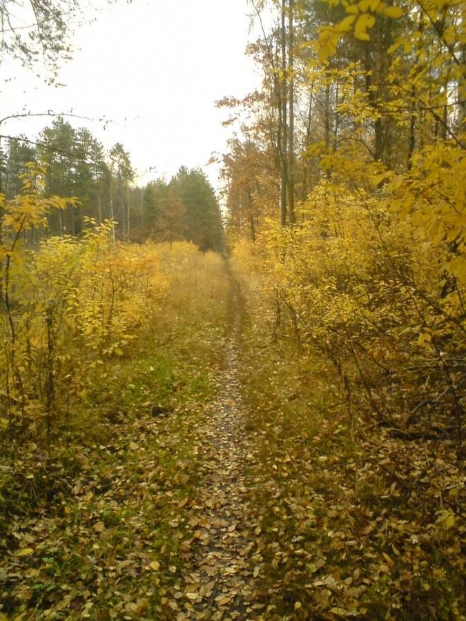 Singletrack za stawem Belnik