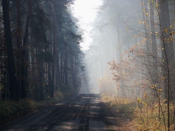 Szlak rowerowy z Wilkowa do Górek