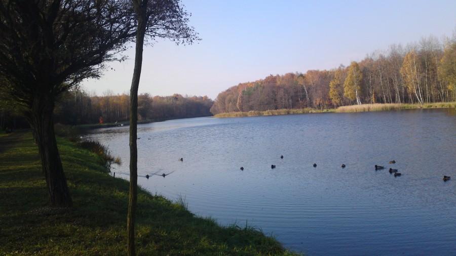 Park w Sosnowcu Kazimierzu