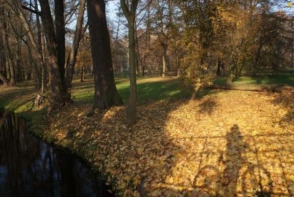 park pałacowy