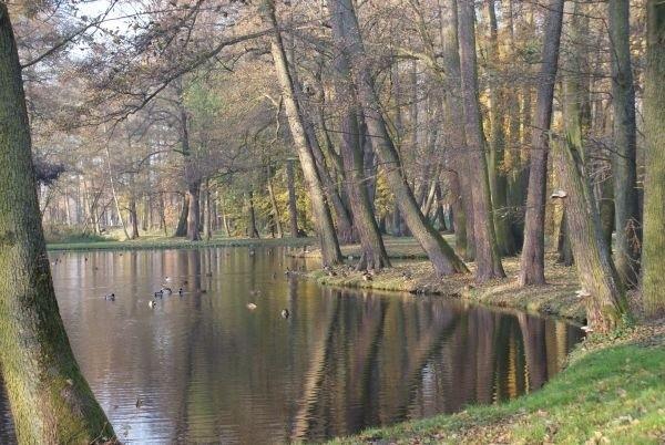 staw