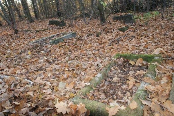 pozostałości po cmentarzu ewangelickim - Ruda