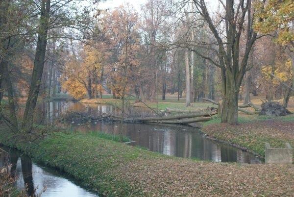 park w Ujeżdzie od strony DW 713