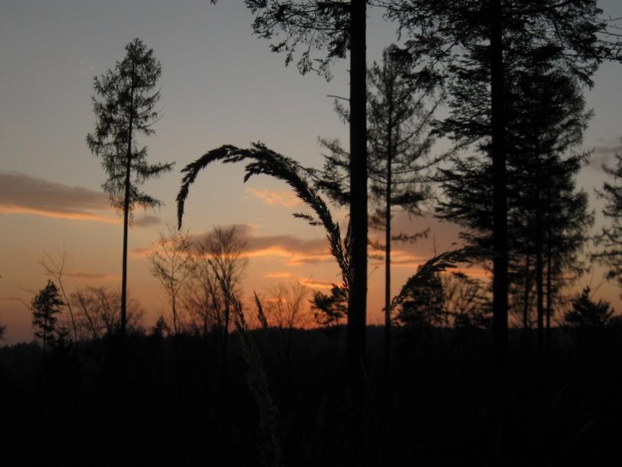 Oświetlenie gaśnie.