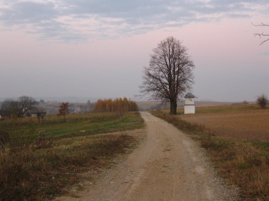 Okolice Niechobrza.