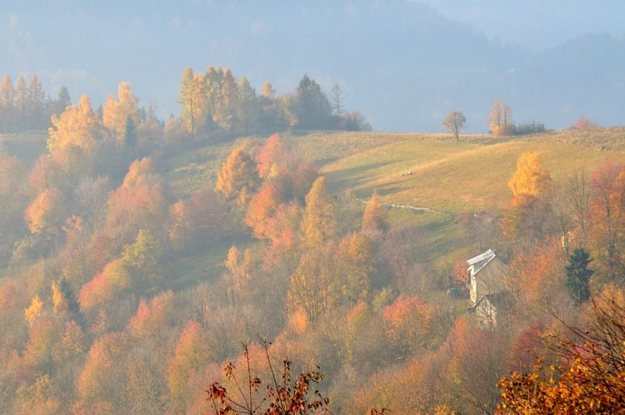 Widok ze schroniska Pod Bereśnikiem