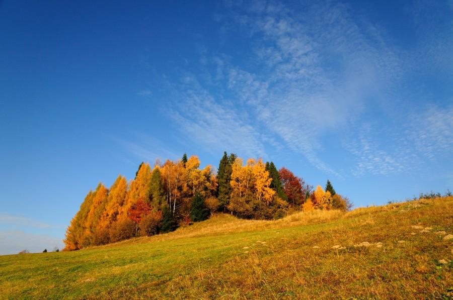 Szczyt Bereśnika