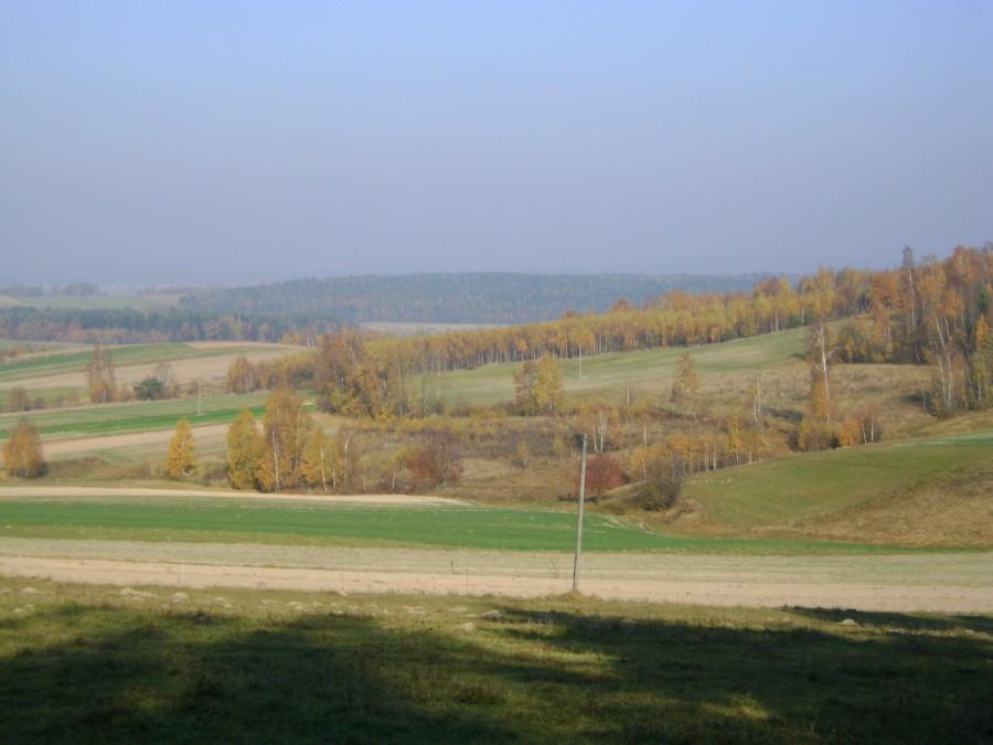 Widoczek na Góry Świętokrzyskie