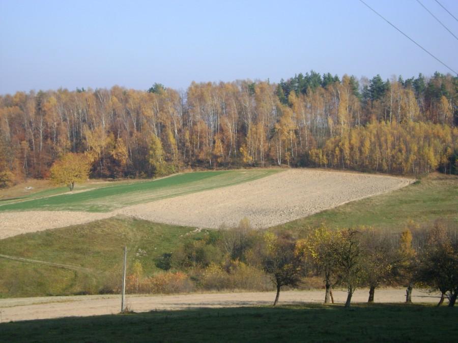 Widoczek na Góry Świętokrzyskie