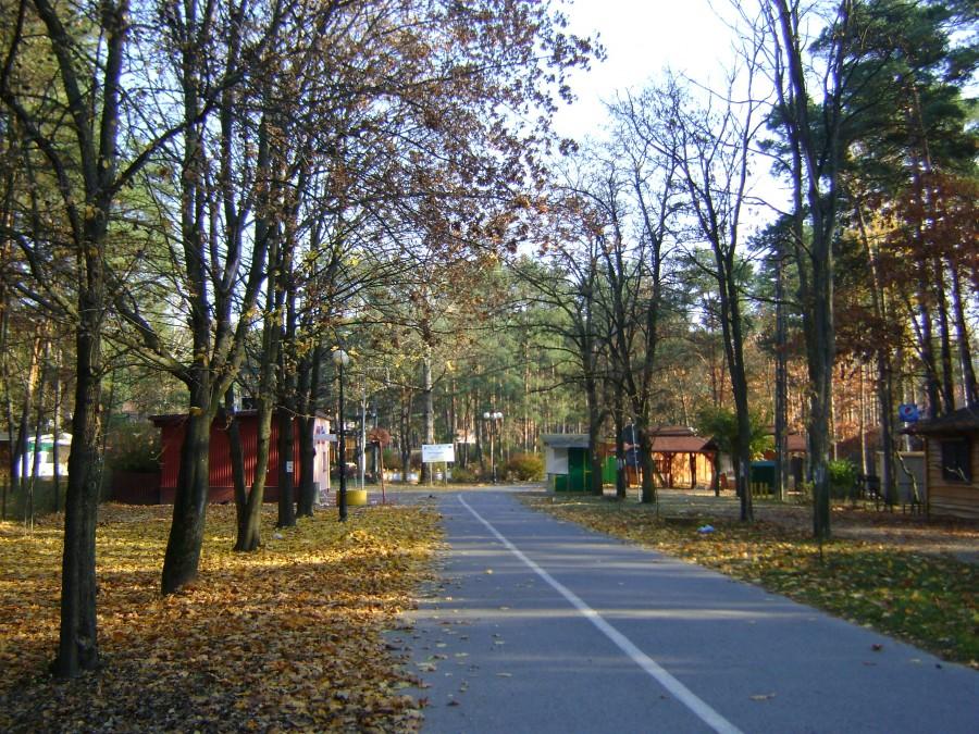 Pustki w Sielpii