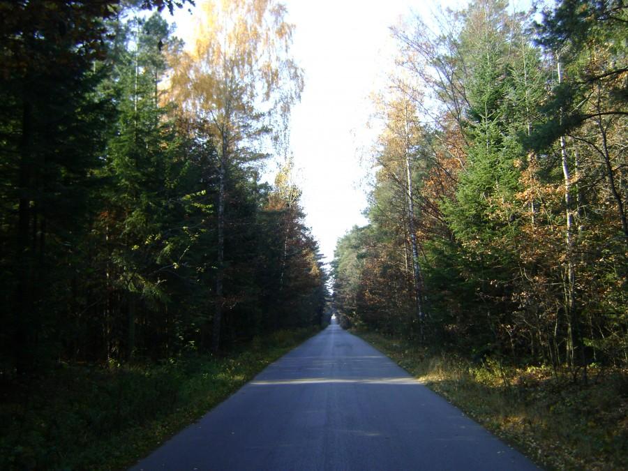 W Suchedniowsko-Oblęgorskim Parku Krajobrazowym