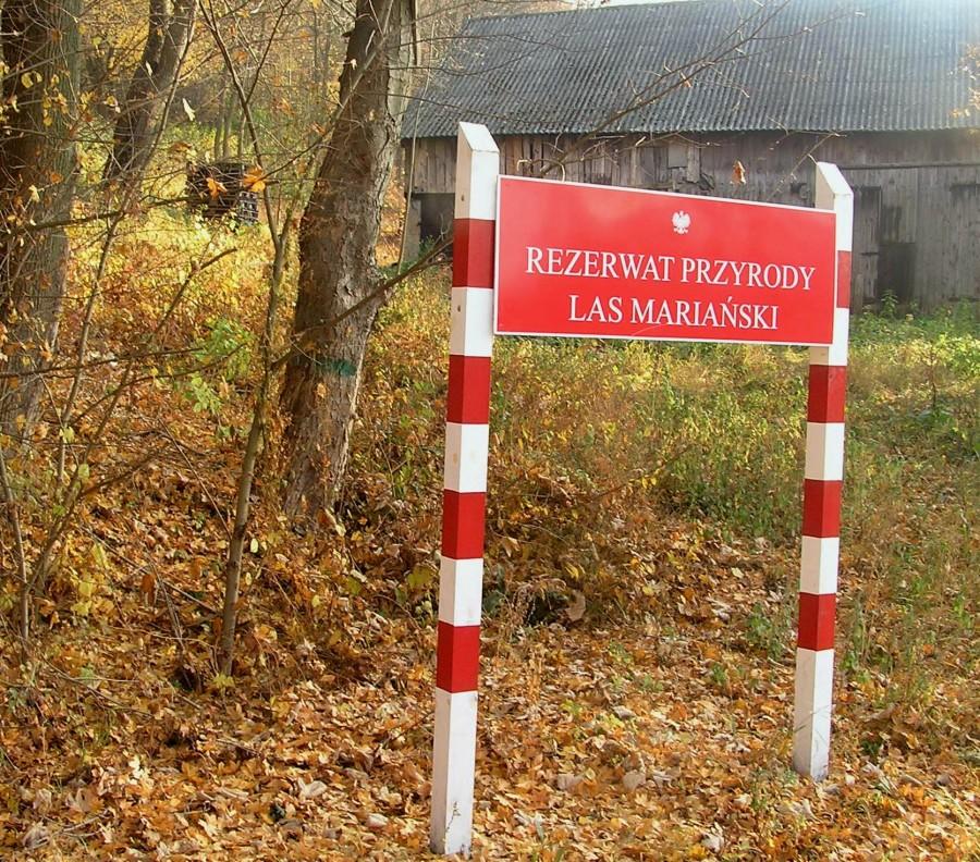 Jeszcze latem tablicy nie było...