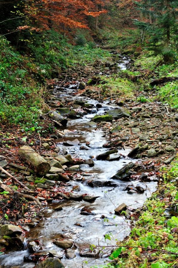 Sopotnicki Potok